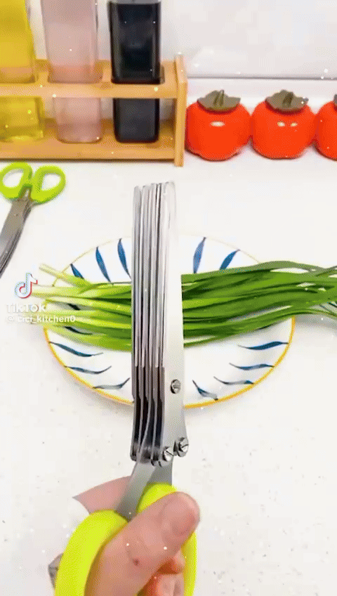 5-Blade Herb Scissors | Stainless Steel Kitchen Herb Cutter for Quick and Even Chopping